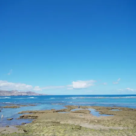 Palmas Near Canteras *